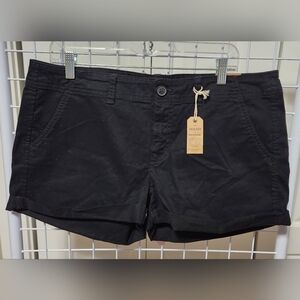 American Eagle Outfitters Black Women's Shortie Shorts